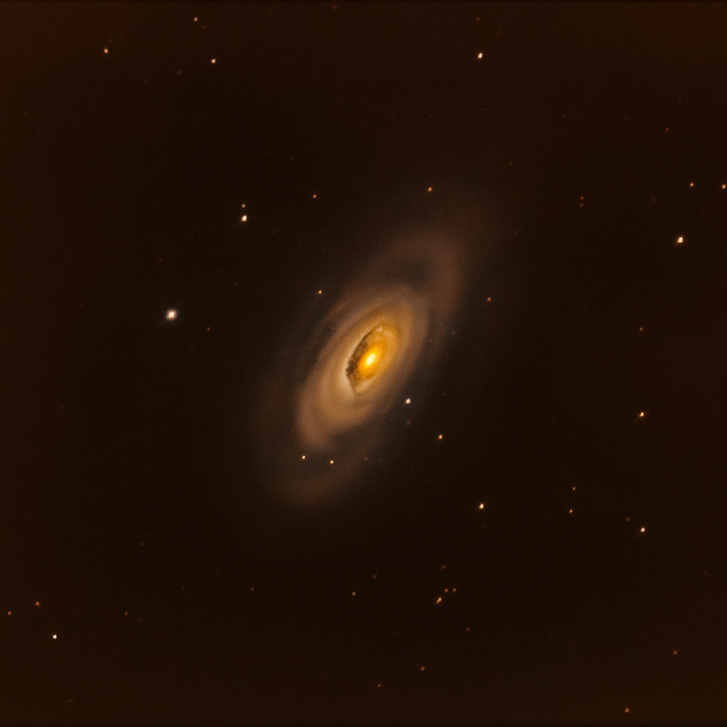 M64